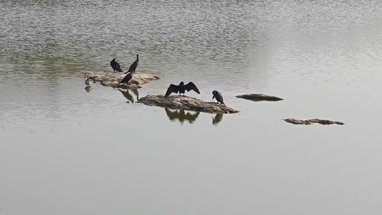 Somasundarapalya Lake