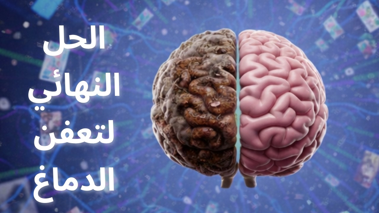 علاج تعفن الدماغ