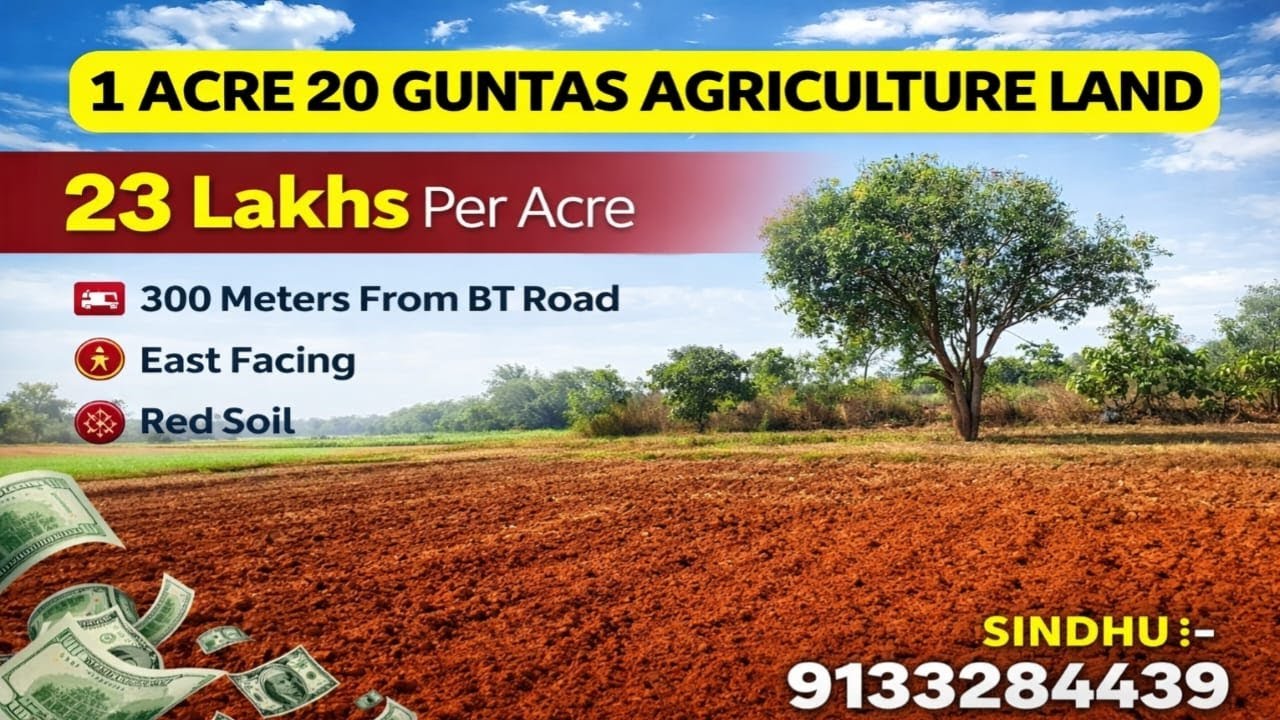 23 lakh per Acre Only||Sindhu:9133284439||Agriculture land sale|1.20 Acres #youtube #agriculture #yt