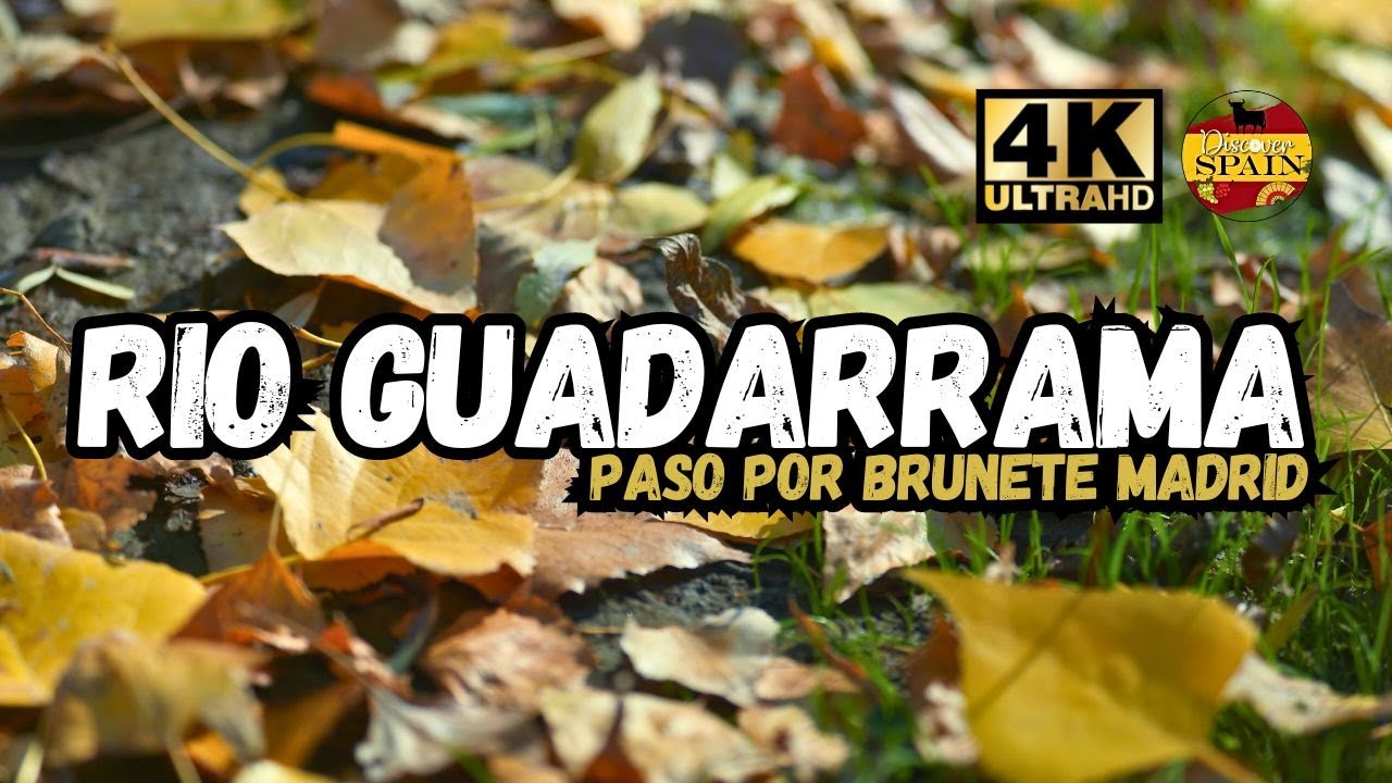 Parque Natural Río Guadarrama a su paso por Brunete - Comunidad de Madrid