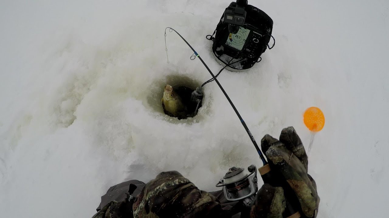 Crappie Ice Fishing Secrets- Keep Searching To Find Schools Of Crappies…