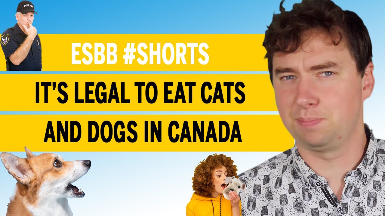 It’s legal to eat cats and dogs in Canada | ESBB 