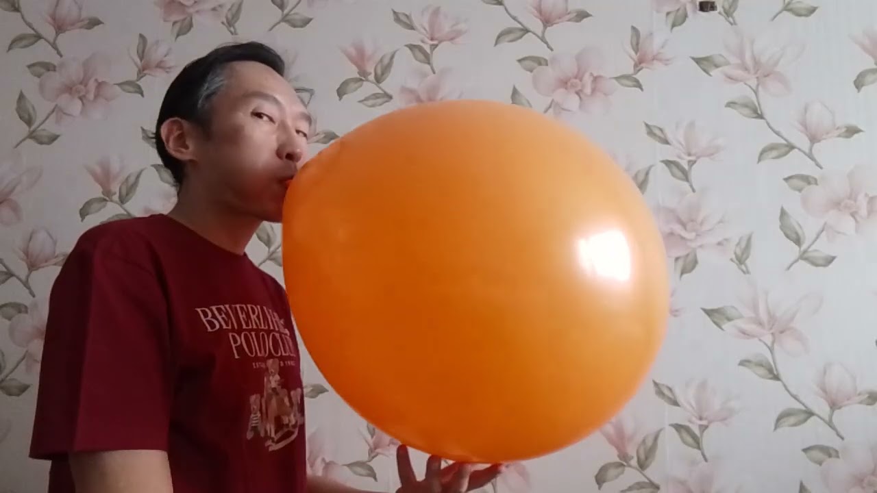 Blowing to pop 🎈(orange) 