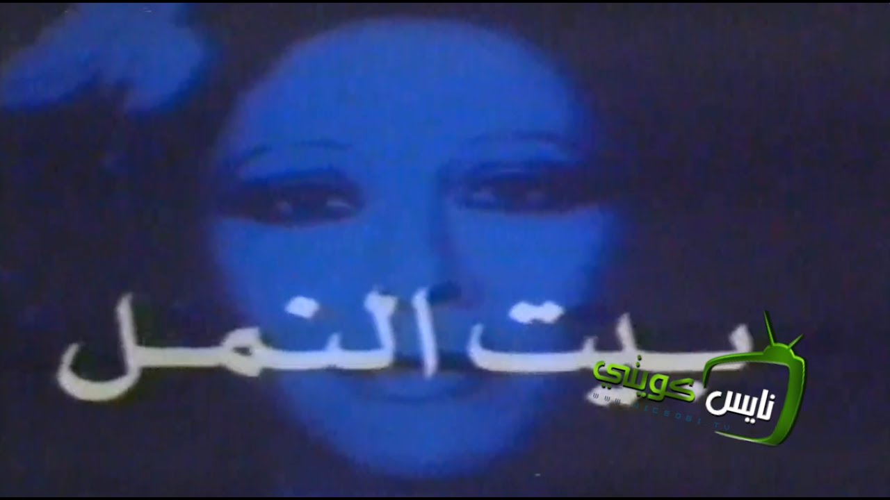 بيت النمل - فاتن حمامه