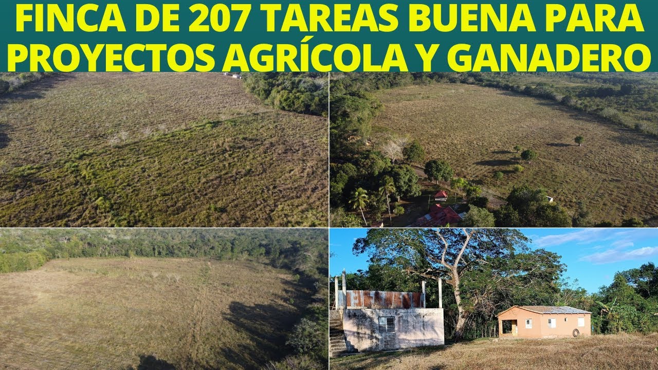 Finca de 207 Tareas buena para la siembra de productos agrícolas y ganadería cerca de Bayaguana