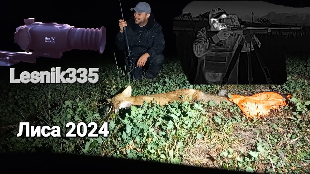 Охота на лису 2024! Lesnik335 & Hypnose 315 pro!!!