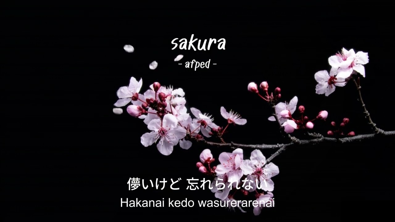 AFFA - SAKURA