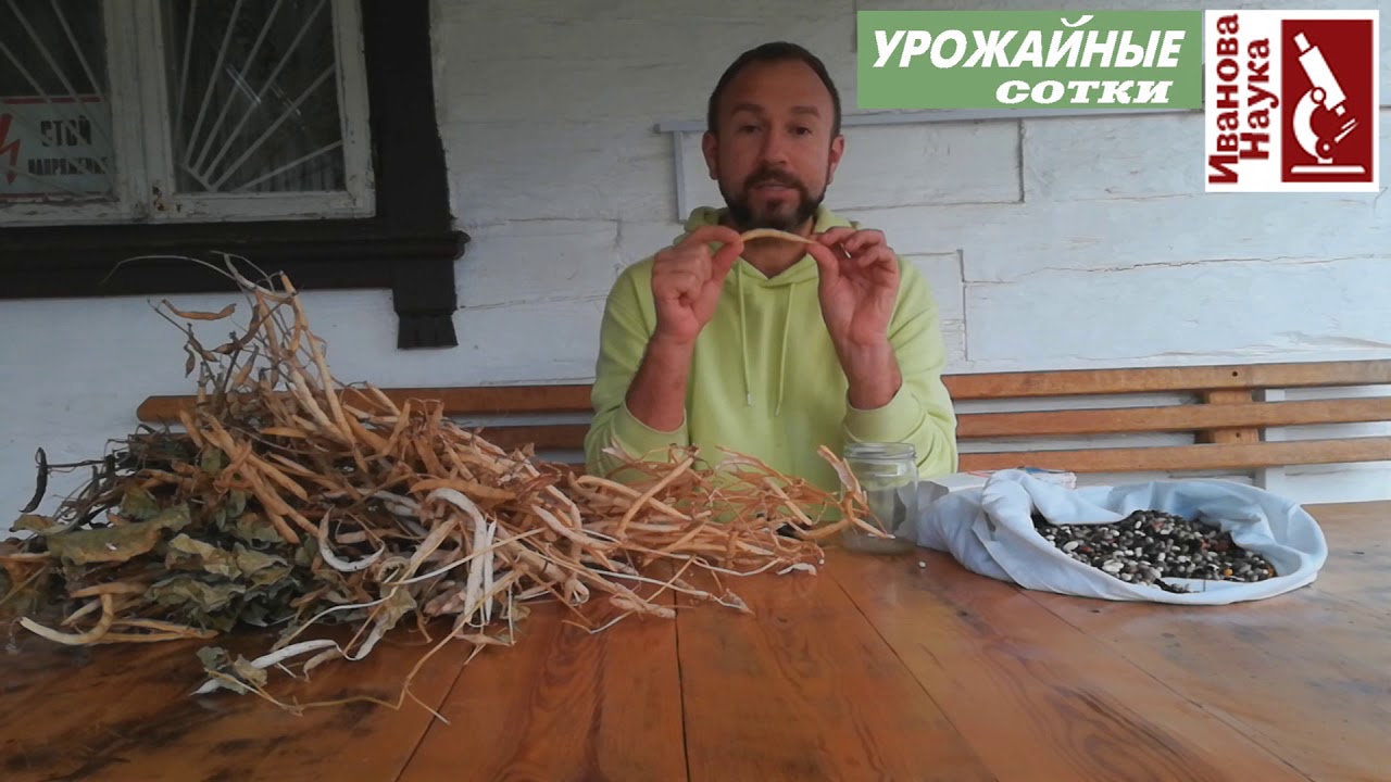 Спасаемся от диабета этим простым средством
