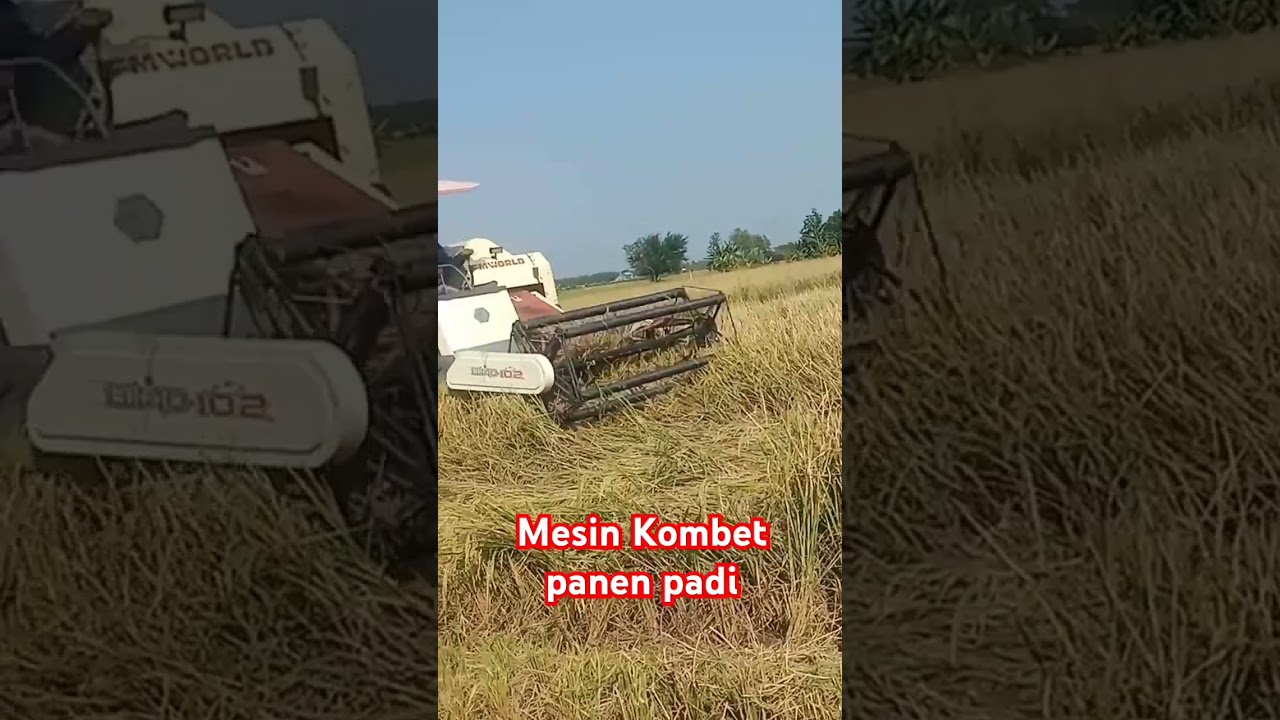 Mesin KOMBET .Mesin Panen Padi . #petani #berkebun #tani #youtubeshorts #mesin #kombet  #feedshorts