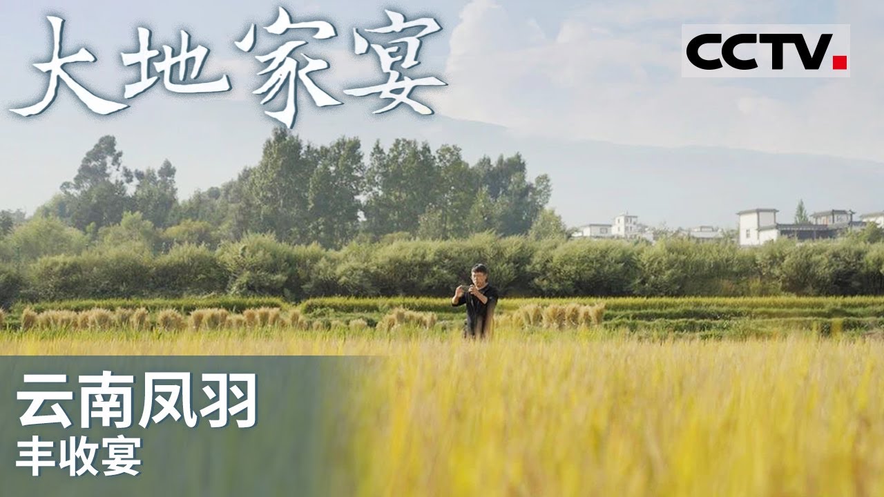 《大地家宴》声色飘香！四海宾朋们共同见证一席&ldquo;乡而洋&rdquo;的云南丰收宴！EP05【CCTV纪录】