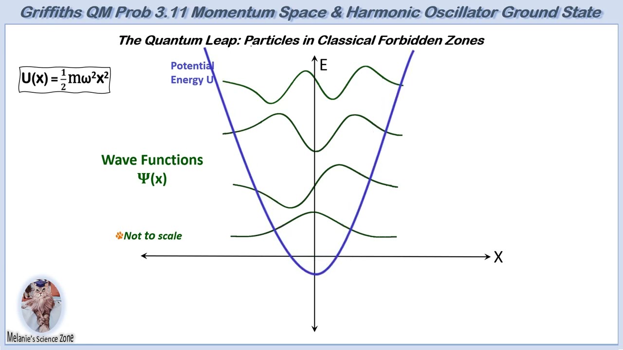 Griffiths Quantum Mechanics Problem 3.11|Harmonic Oscillator|Momentum Wave Function|Fourier Transfm