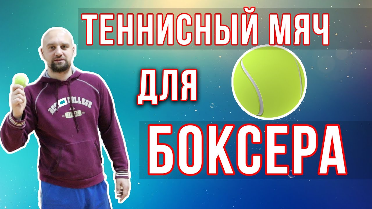Упражнения с теннисным мячом для ударников / Дневник ММА