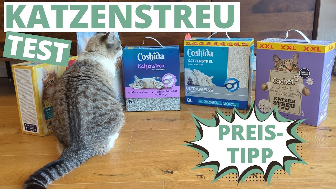 Katzenstreu Test: Meine Top-Empfehlungen (DM, Coshiba & mehr)
