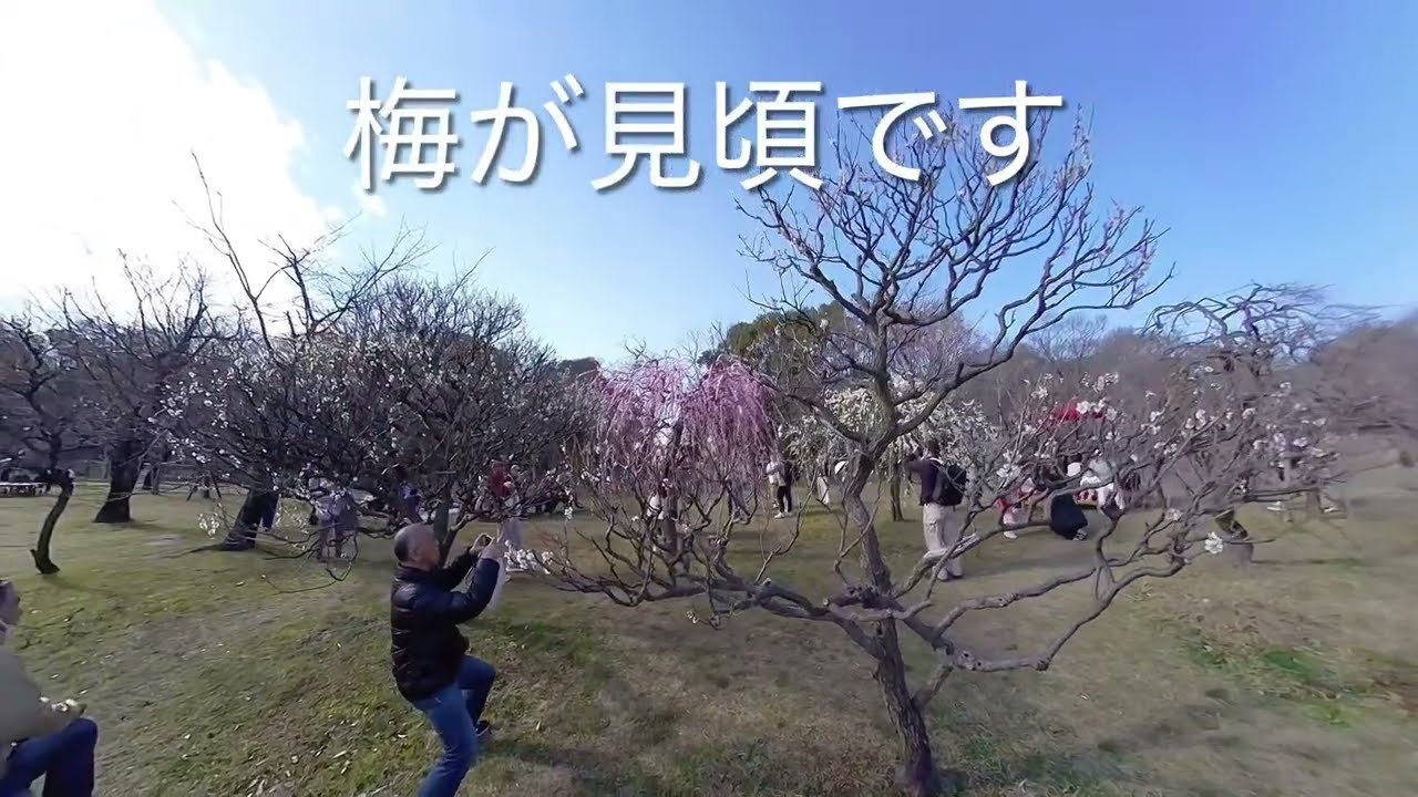 2026/2/22 大阪市長居植物園