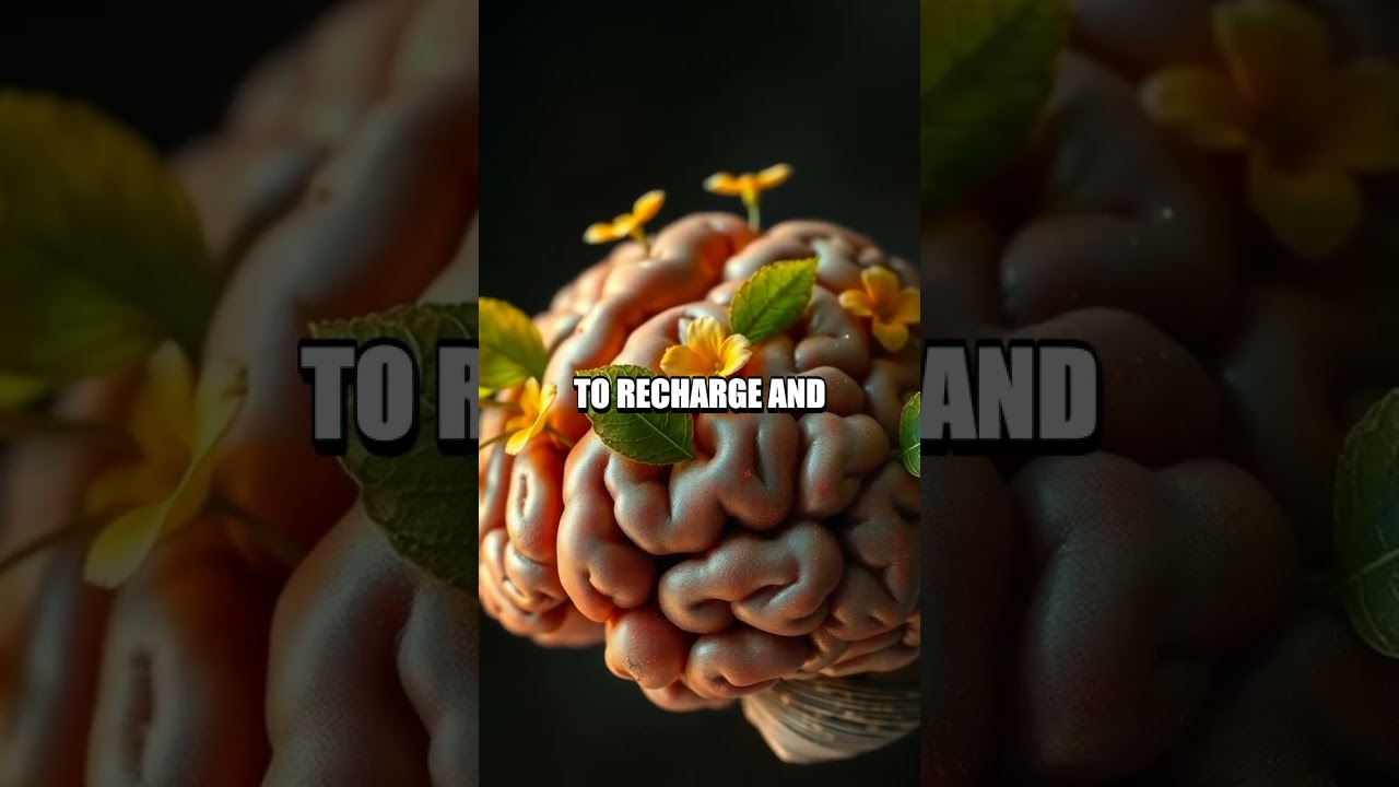 The Cognitive Benefits of Nature Immersion