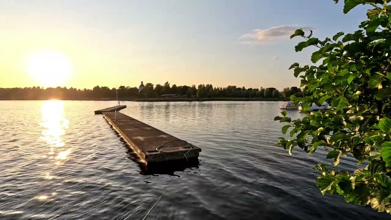 Todde Myhr -  Valot