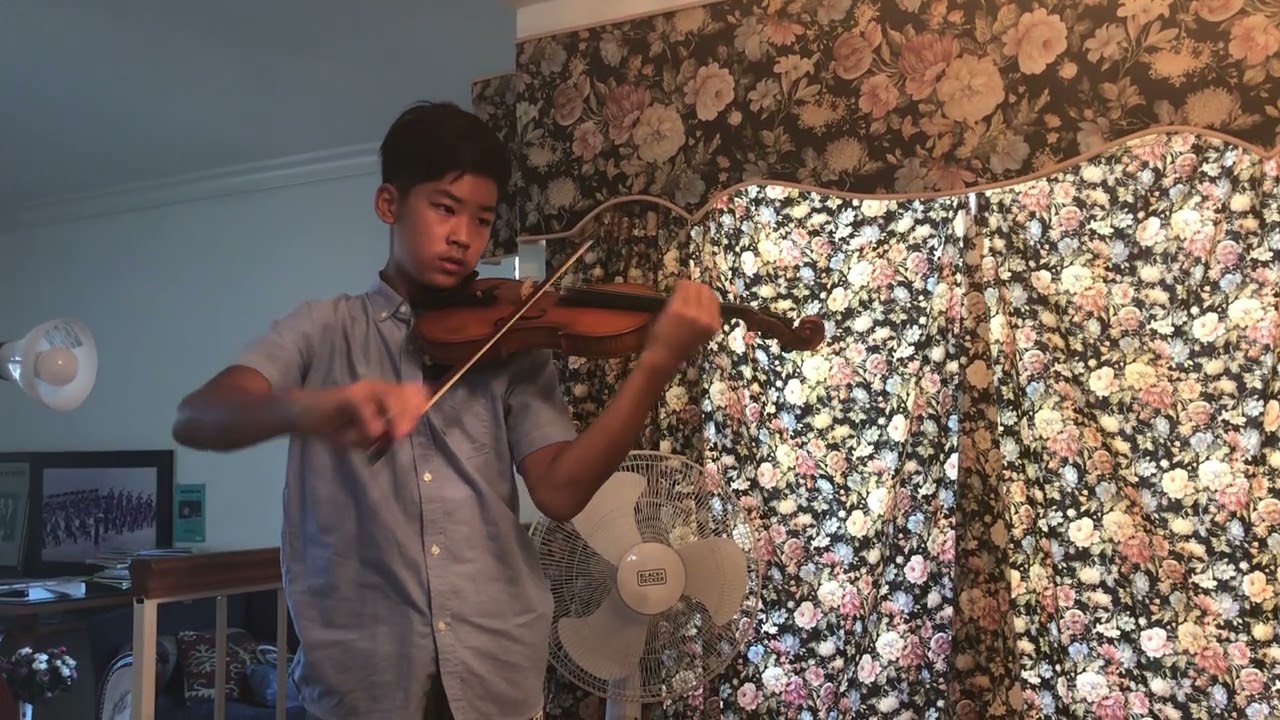 Bruch: Violin Concert ( David Jr.)
