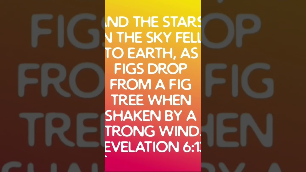 Vision 30 (18 Dec 2022) #propheticmessages
