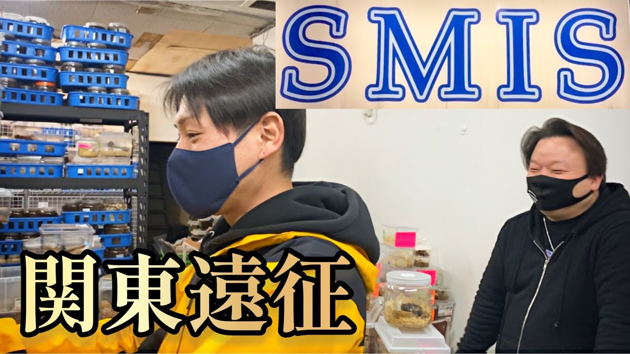昆虫ショップSMISに潜入したらとんでもないのがいた