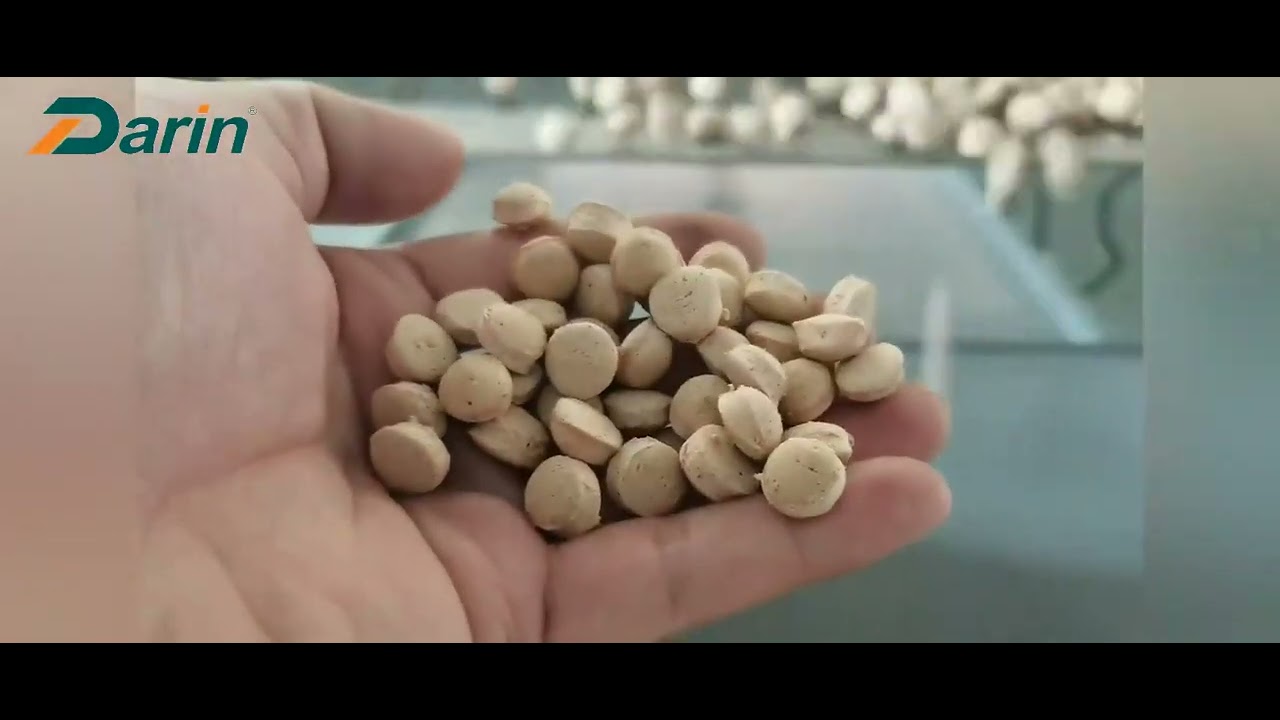 500KG/HR DOG FOOD/ Pet Food Extruding Line  for Thailand Customer|Lily