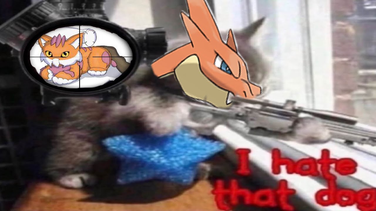 MEGA CHARIZARD Y SHOWCASE...GOAT CERTIFIED - Pokemon brick bronze PVP