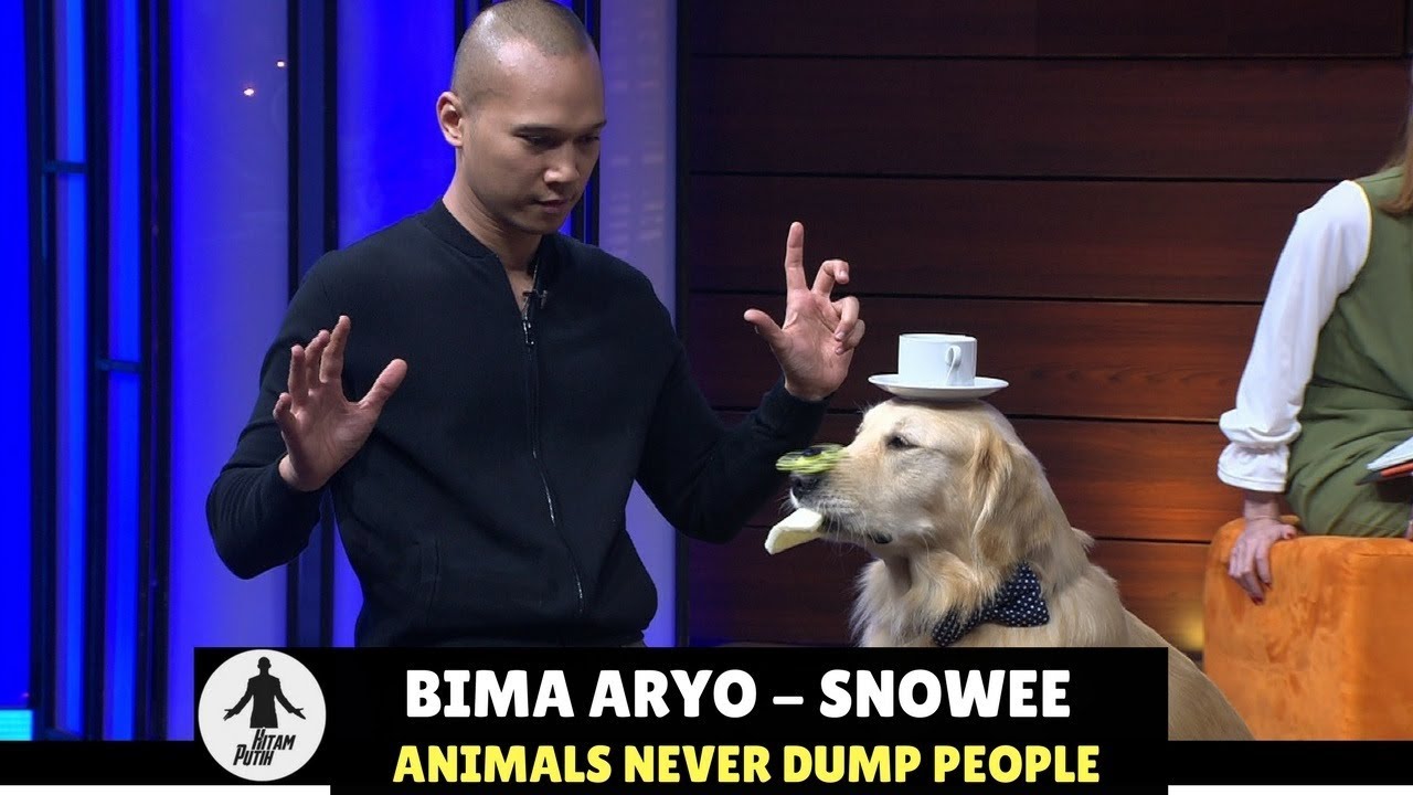 HITAM PUTIH | ANIMALS NEVER DUMP PEOPLE (03/01/18) 1-4