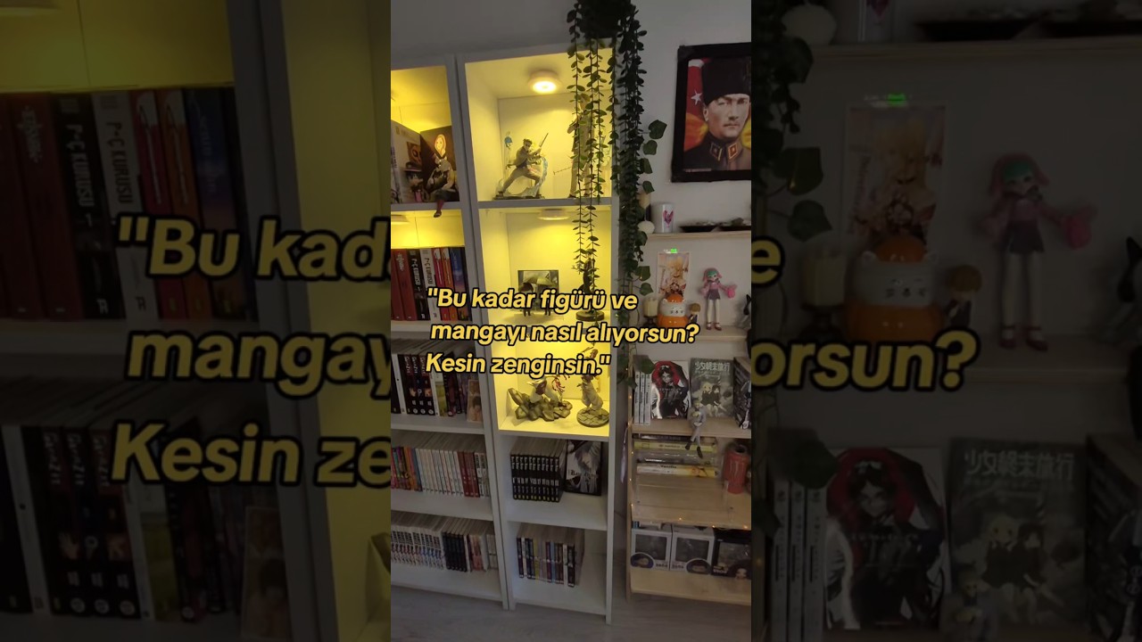 Bu kadar mangayı ve figürü nasıl alıyorum?? 