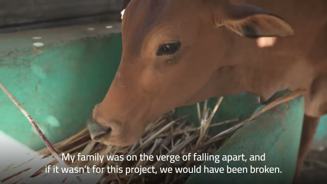 Formation of women’s production groups within the dairy component