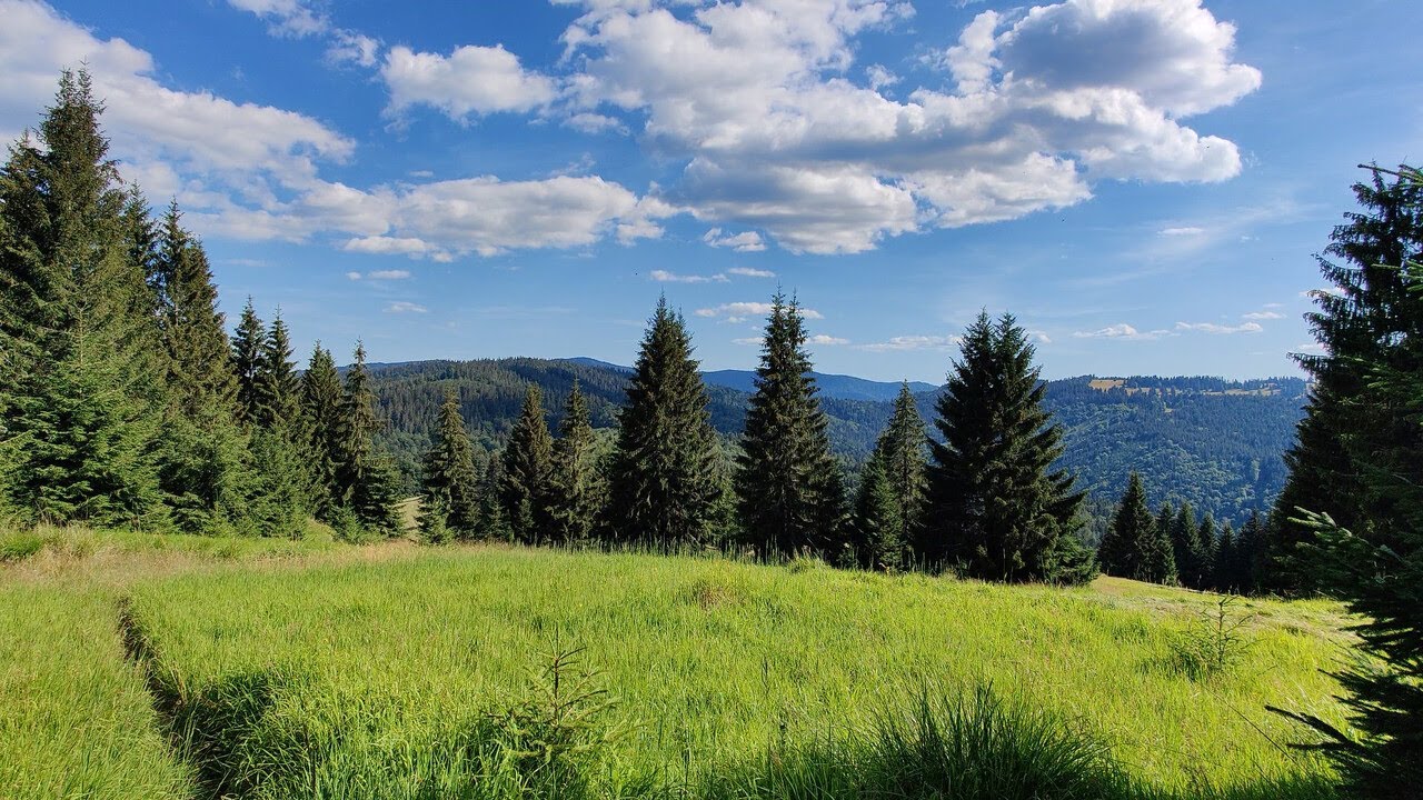 Čierna Lehota - Detva (Stolické vrchy, Muránska planina, Veporské vrchy, Poľana - Júl 2022 )