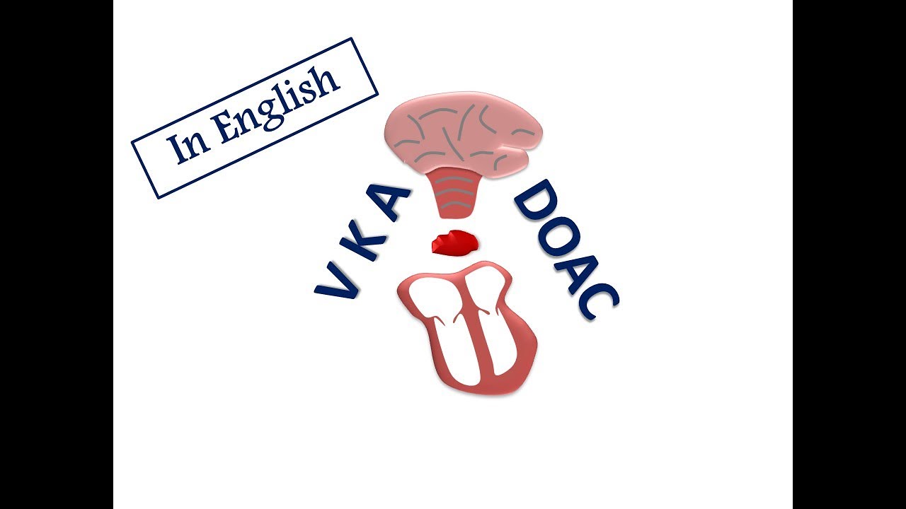 ESC Guidelines of AF: 5. [A] Avoid Stroke & Thromboembolism (English Version)
