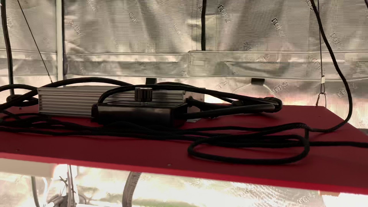 4K 4x4 Gorilla Tent HLG600 V2 Rspec Cloudline T8 w Carbon Filter Vivosun 6&rdquo; fan APC Smart Powerstrip