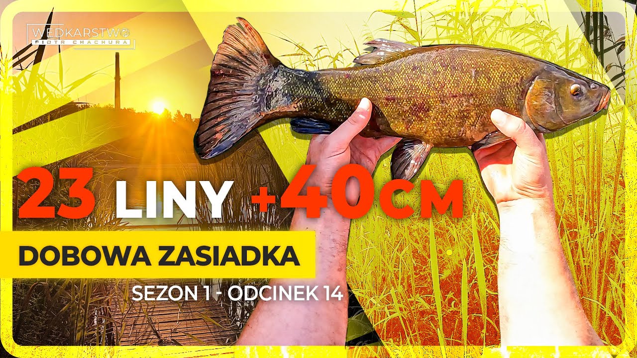ZASIADKA ŻYCIA - Fish Active Aqua
