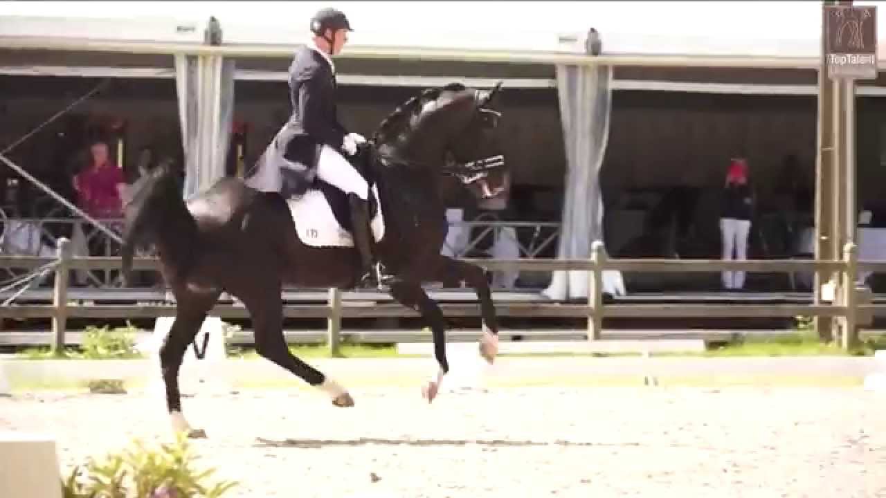 Matthias Alexander Rath & Totilas (v. Gribaldi) comeback Kapellen Belgie
