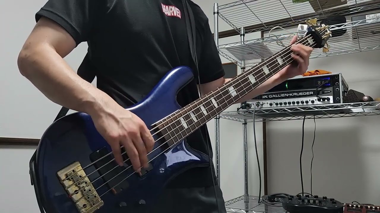 【Full】Suffocation - Surgery of Impalement (Bass Cover)