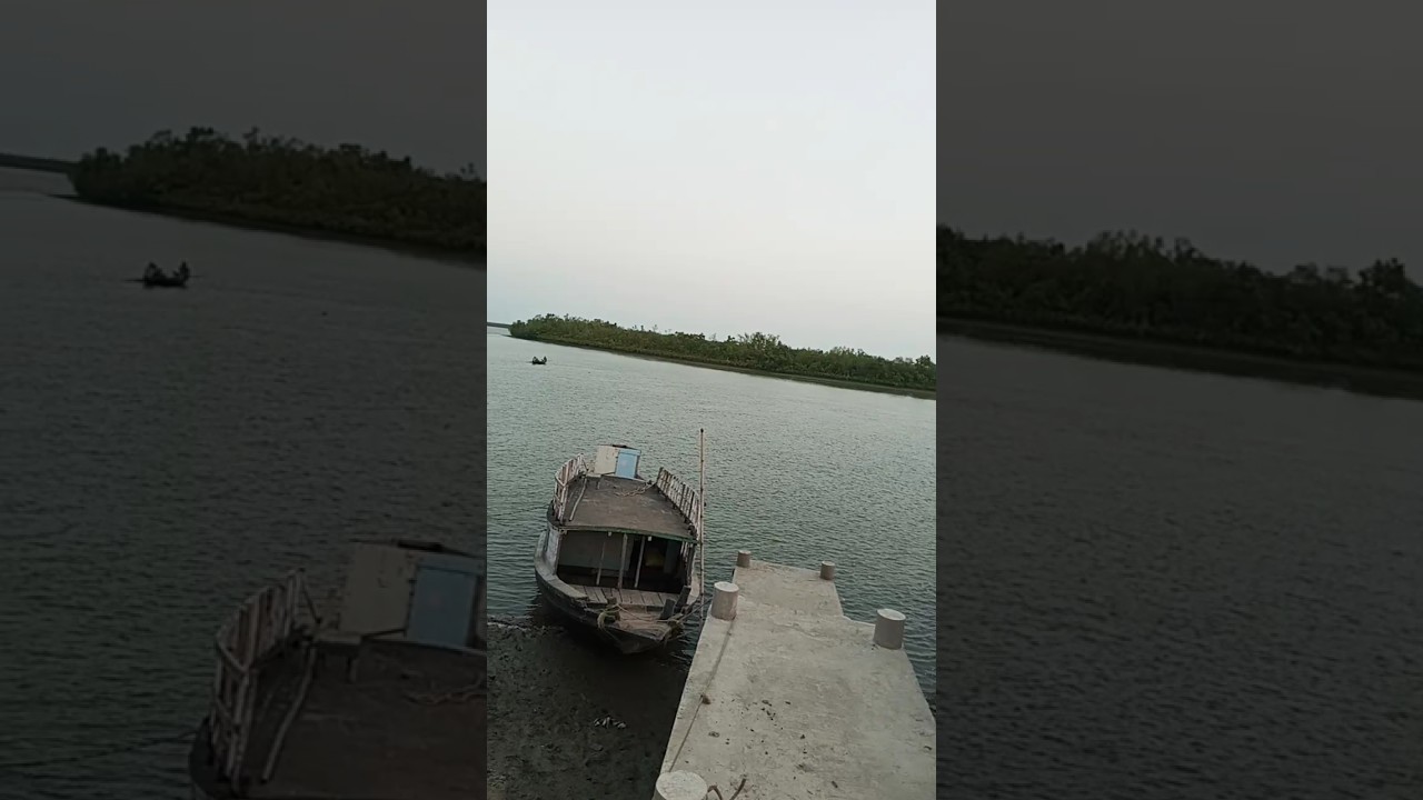 sundarban view 😱😱#sundarban #sundarbans_fish #vlog #travel #sundarbanlife #fishing #nature 😱🤗❤️