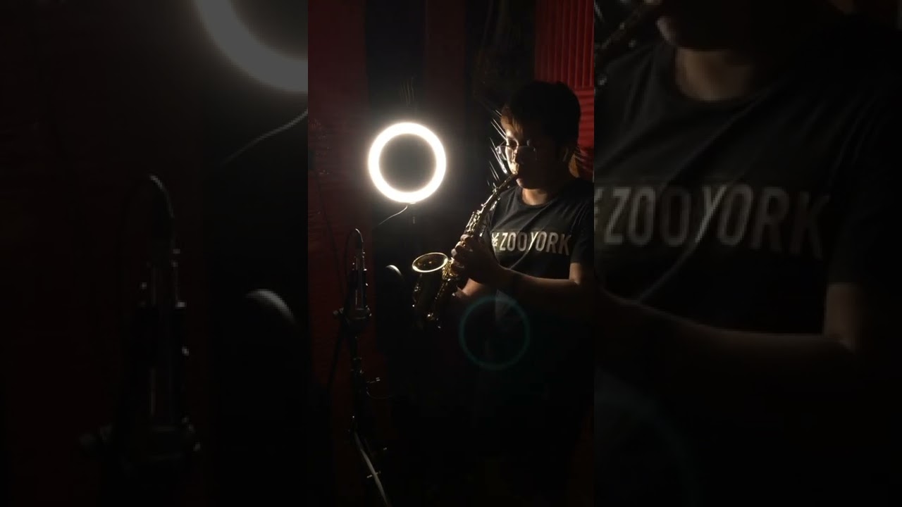Ni Yao De Ai - Saxophone Cover - Warly Manzon