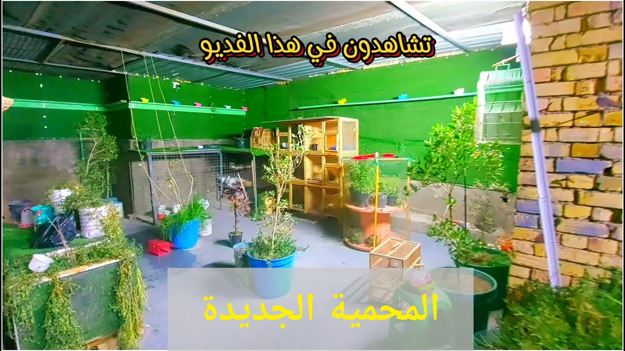 جولة في المحميات وفديوات منوعة 💞🥰