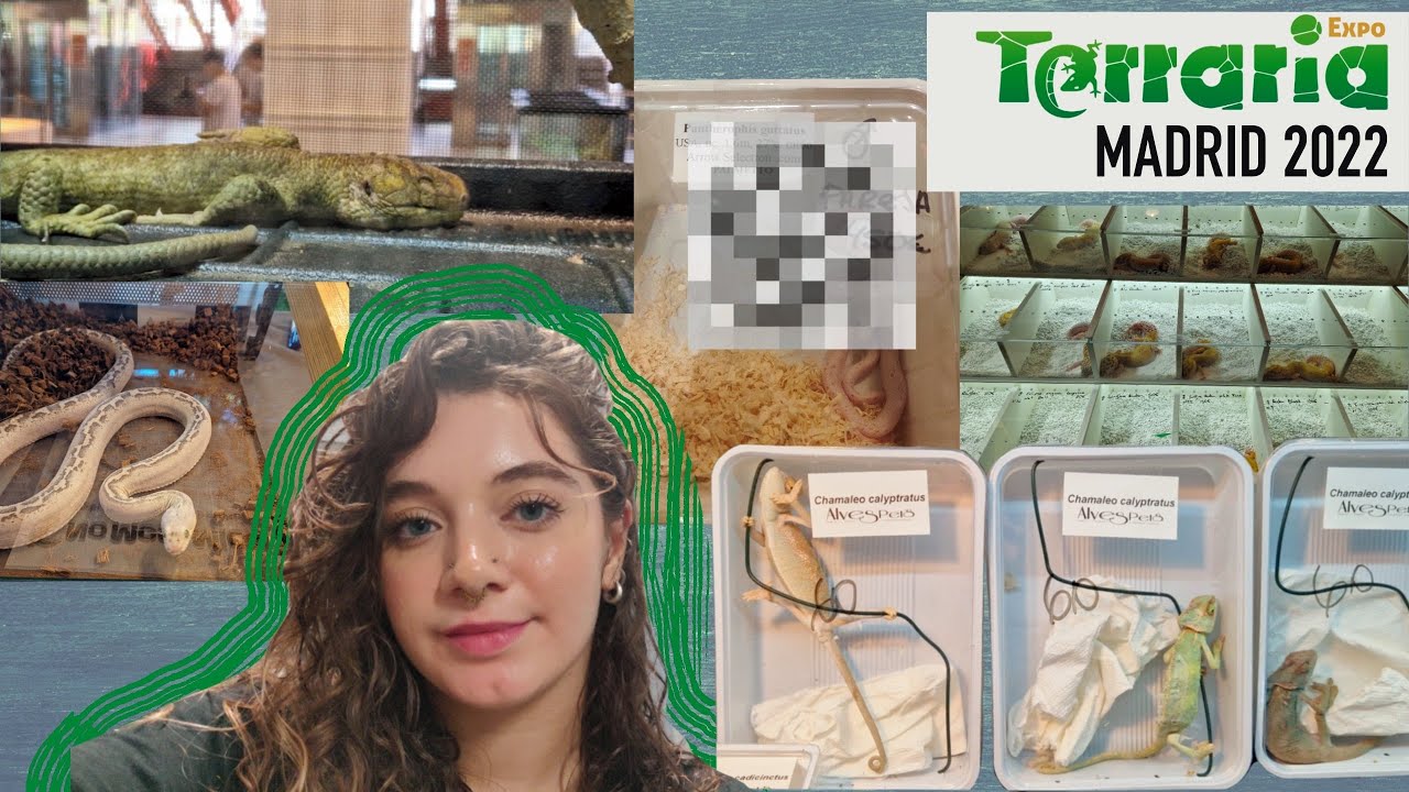 EXPOTERRARIA Madrid 2022 | Metemos una serpiente en el tren | Os enseño mis compras. #Expoterraria