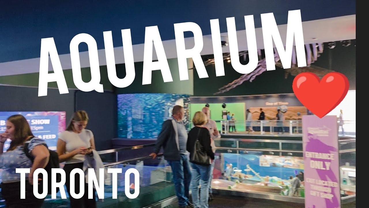 AQUARIUM TORONTO CANADA 🇨🇦 FANTASTIC PLACE TO VISIT AND ENJOY IT. ALL MOTHER NATURE. @JNoworolnik .