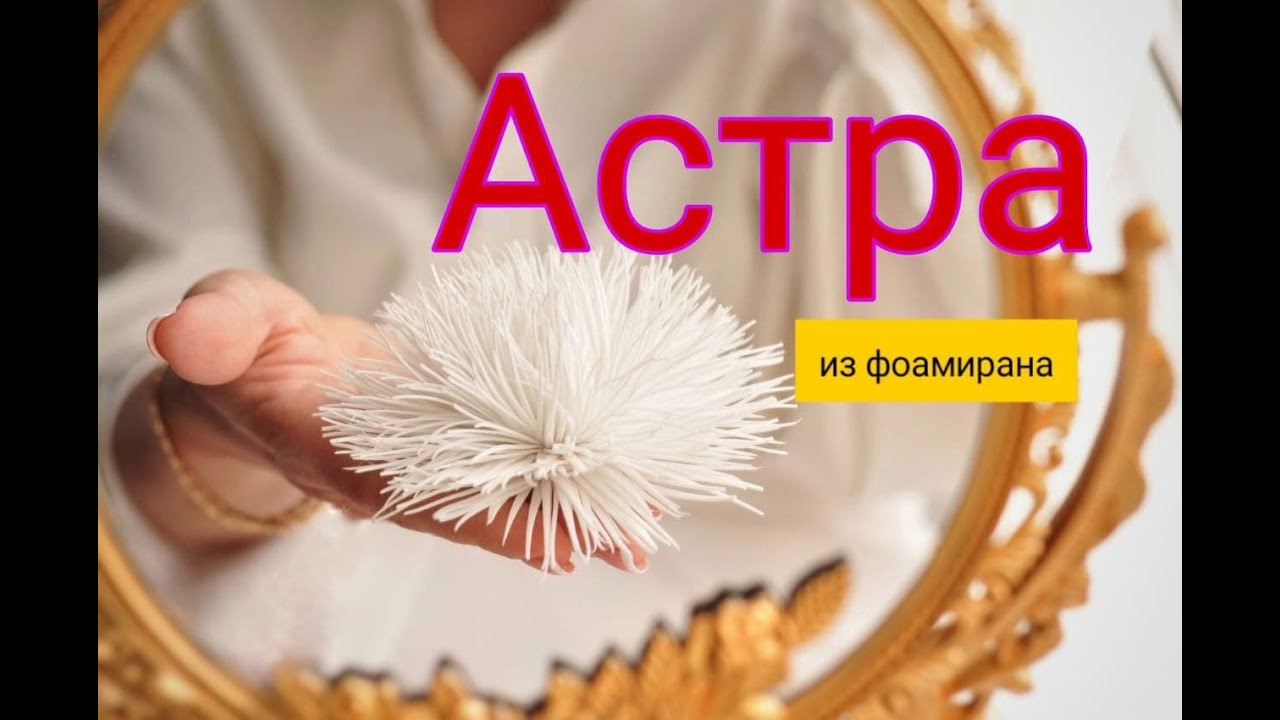 Астра из фоамирана. Астра - украшение.