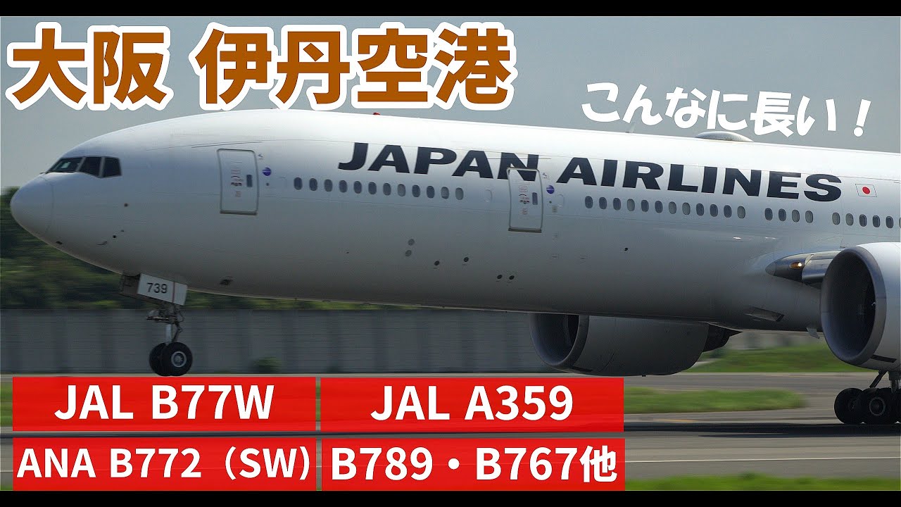 【伊丹空港】JAL77WやANA772 C-3POなど迫力ある音と離着陸風景をしっかり見る｜plane spotting｜sony｜α6700｜sel70350g｜tamron｜70-180
