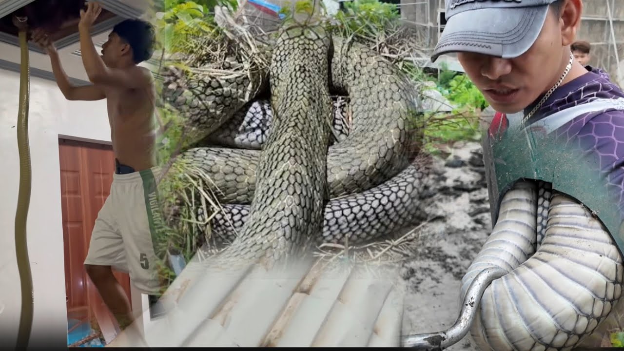 KINATATAKUTANG BANAKON SA TALISAY BATANGAS 