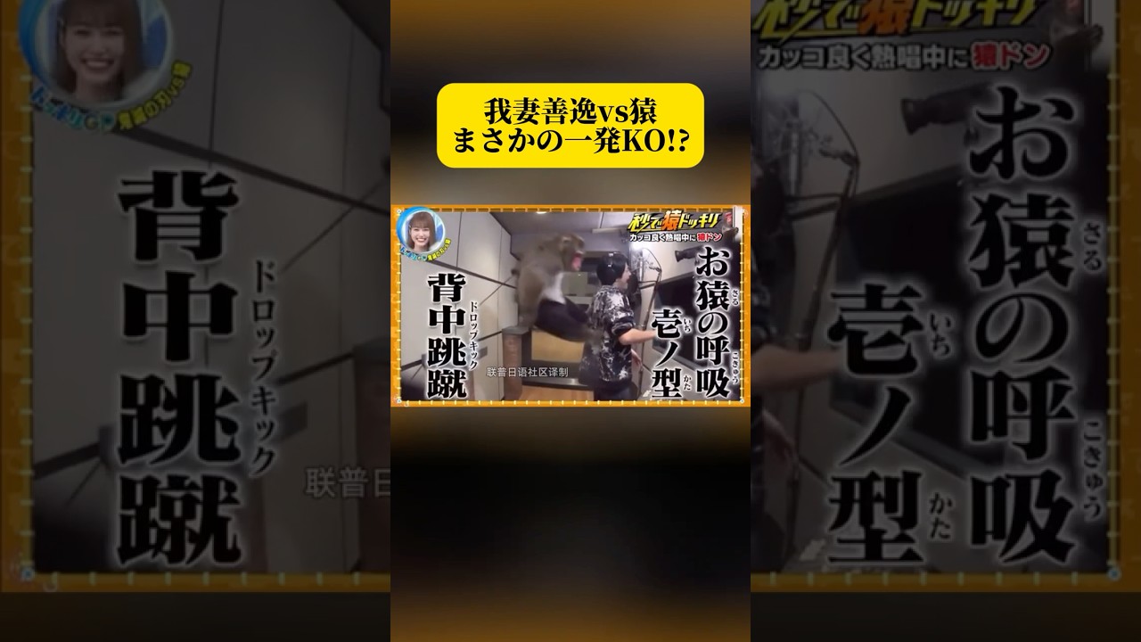 我妻善逸vs猿、まさかの一発KO! #面白い