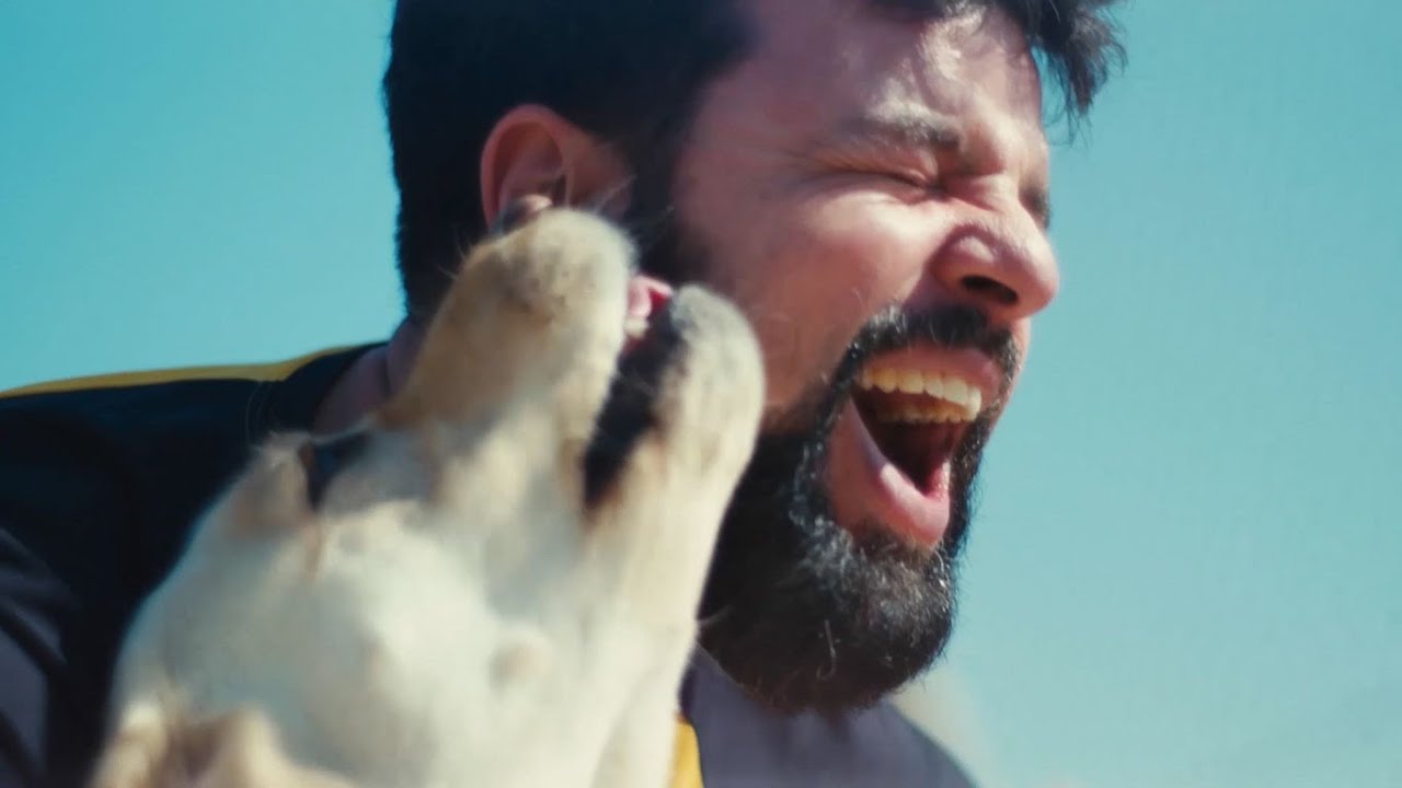 Conhe&ccedil;a o Programa C&atilde;o-Guia