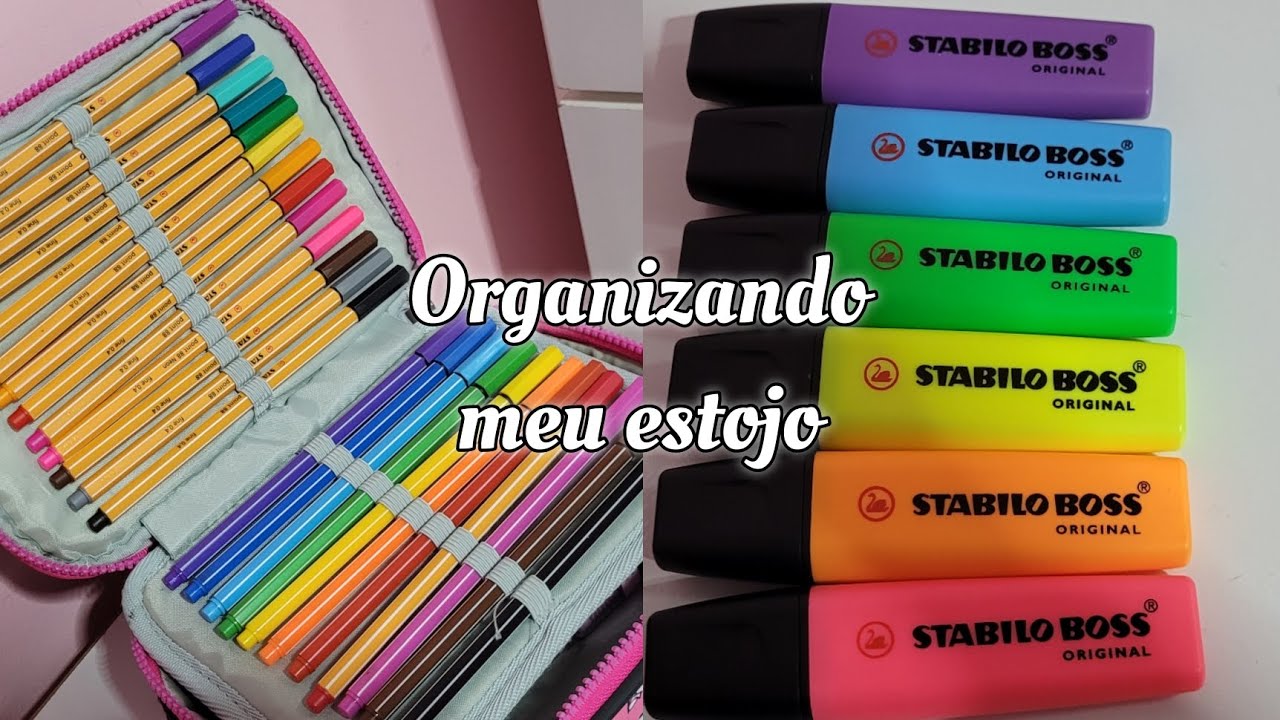 ORGANIZANDO MEU ESTOJO 2026 ✨️ ~canetas, marca texto 📚