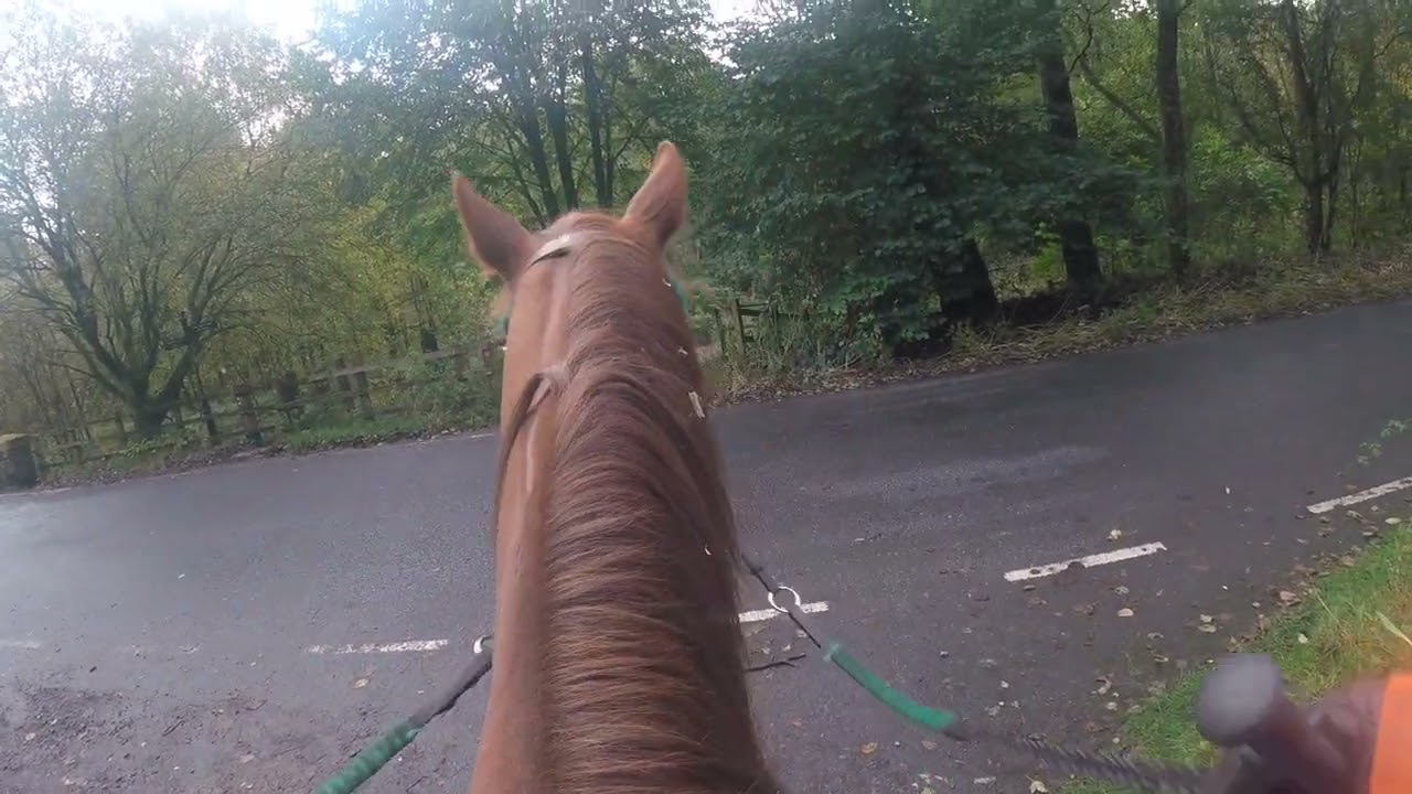 Come ride with me 9/10/24 Park Bridge sustrans 1/4