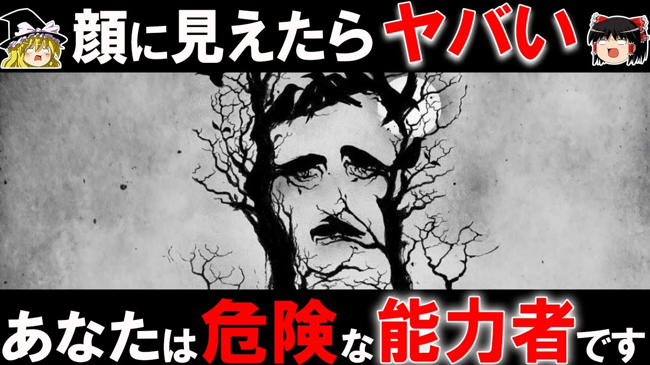 顔に見えたらヤバい！？超能力を診断する錯視クイズ【ゆっくり解説】