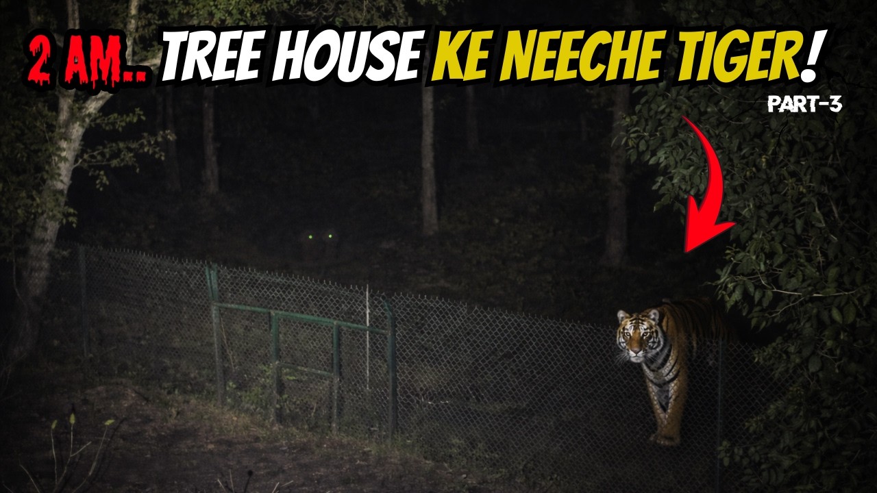 Tree House Ke Neeche Tiger |  Jungle Ki Sabse Darravni Raat | Corbett Tales