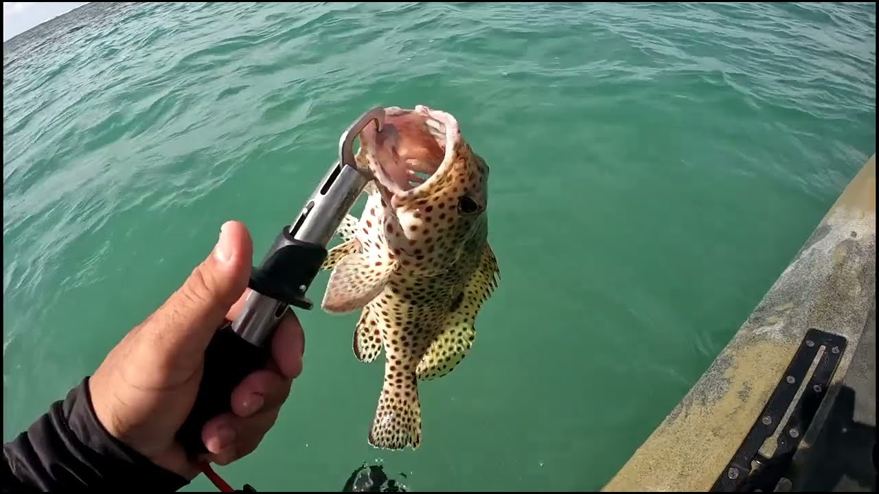 Dia de lazer 🐟🐠🎣são José da Coroa Grande-pe