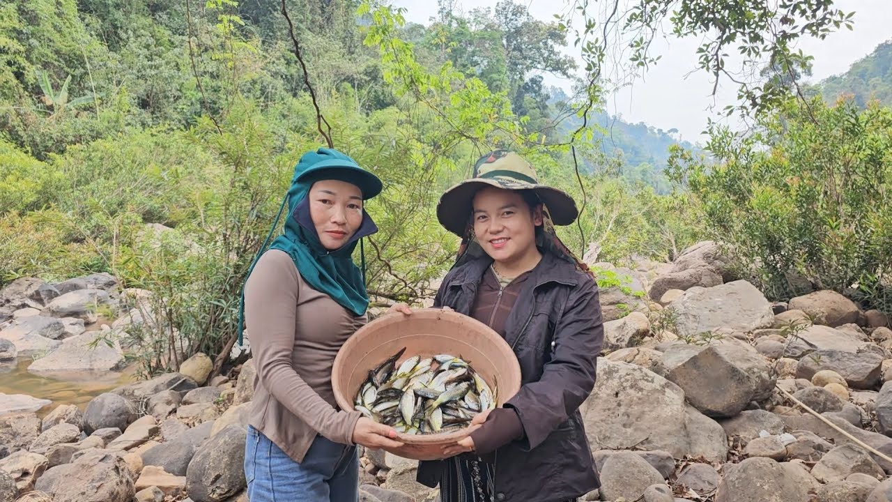 Peb mu txhom ntse hav dej